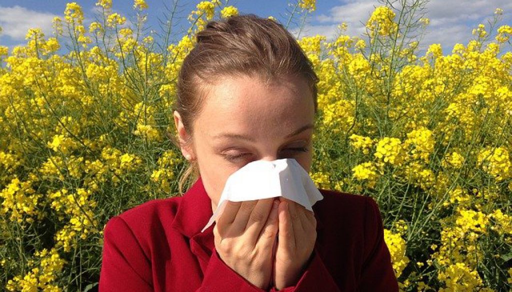 being allergy aware is nothing to sneeze at