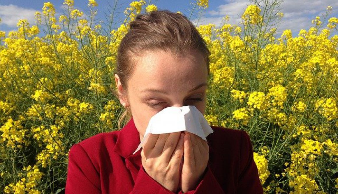 being allergy aware is nothing to sneeze at